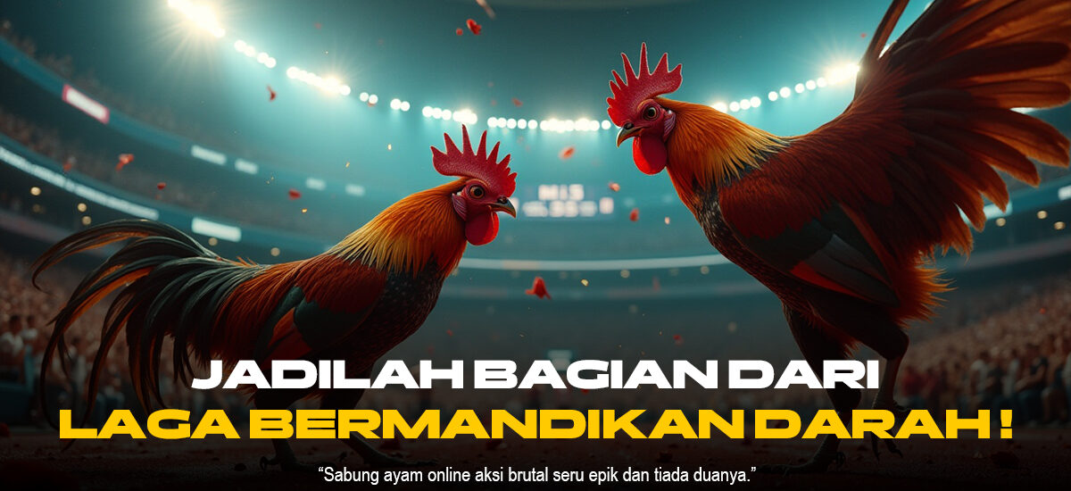 Rahasia Menang Sabung Ayam SV388: Jenis Ayam & Odds Terbaik