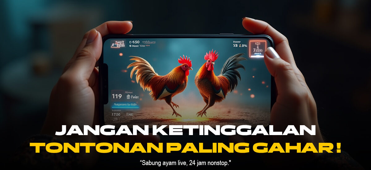 Menantang Keberuntungan Bersama SABUNG AYAM SV388