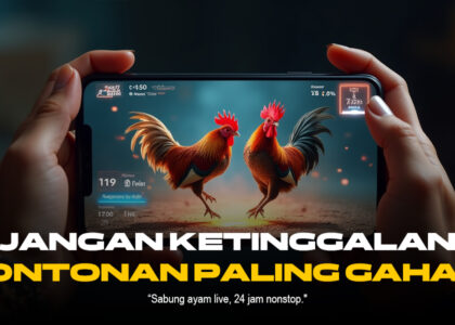 Menantang Keberuntungan Bersama SABUNG AYAM SV388