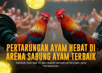 Mengenal Ayam Bangkok Dalam Sabung Ayam SV388 yang Mendominasi