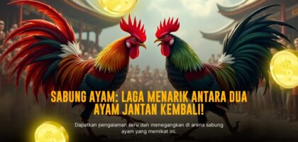 Mengenal Jenis Ayam Bangkok dalam Sabung Ayam SV388