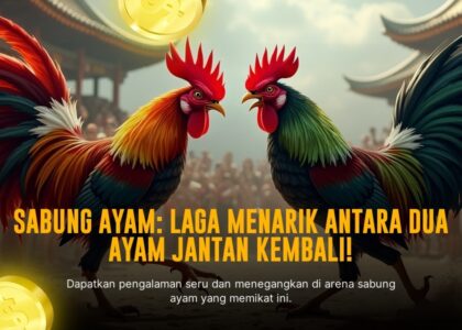 Mengenal Jenis Ayam Bangkok dalam Sabung Ayam SV388