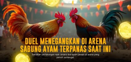 Mengupas Tuntas Jenis Ayam Sabung Terpopuler SV388